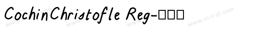 CochinChristofle Reg字体转换